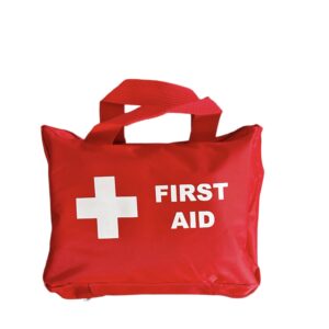 First Aid Kit - 38 Pcs in a Red Zip Bag