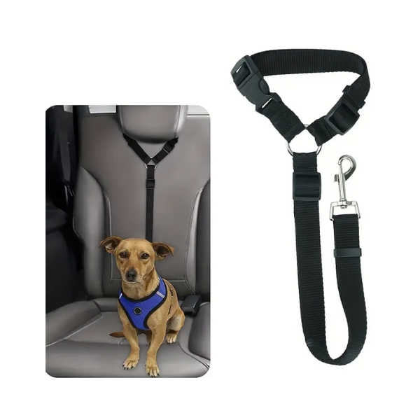 Dog Car Safety Lead 1Pc Assorted Colours