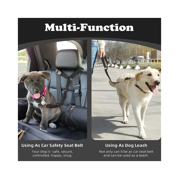 Dog Car Safety Lead 1Pc Assorted Colours - Image 6