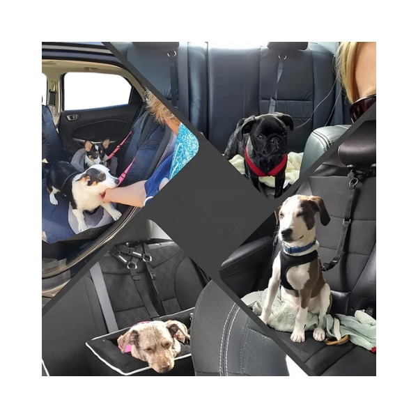 Dog Car Safety Lead 1Pc Assorted Colours - Image 2